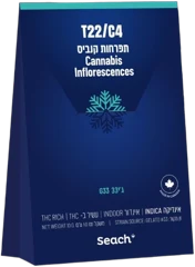 אריזת ג'י 33 (גי 33)